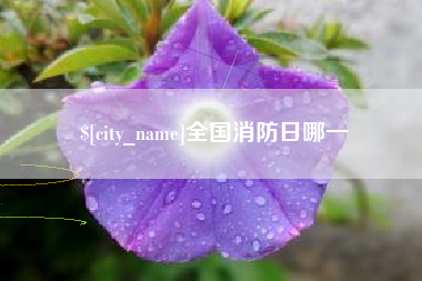 进贤全国消防日哪一