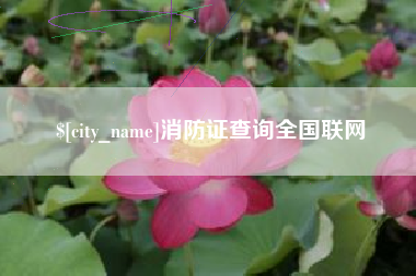 进贤消防证查询全国联网