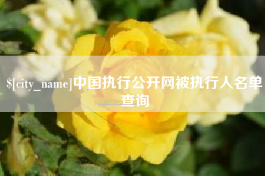 进贤中国执行公开网被执行人名单查询