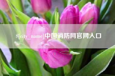 进贤中国消防网官网入口