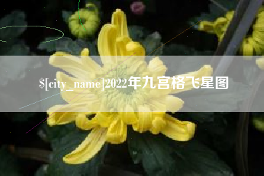 进贤2022年九宫格飞星图