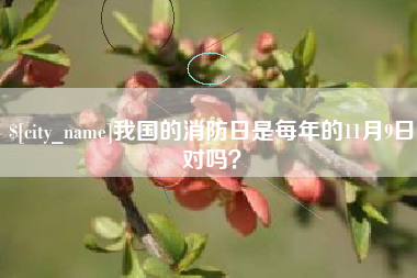 进贤我国的消防日是每年的11月9日对吗？