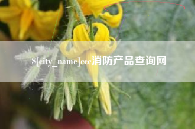 进贤ccc消防产品查询网