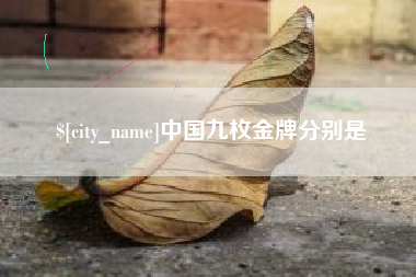 进贤中国九枚金牌分别是