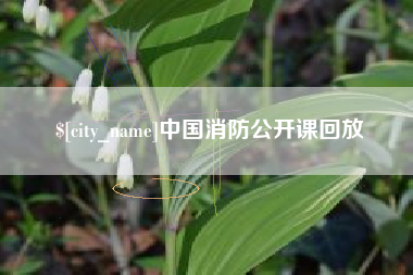 进贤中国消防公开课回放
