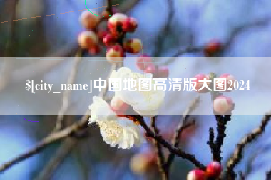 进贤中国地图高清版大图2024