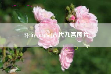 进贤古代九宫图片