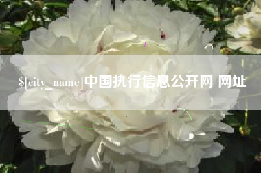 进贤中国执行信息公开网 网址
