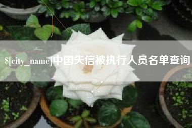 进贤中国失信被执行人员名单查询