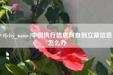 进贤中国执行信息网查到立案信息怎么办