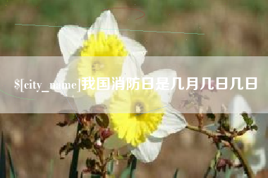 进贤我国消防日是几月几日几日