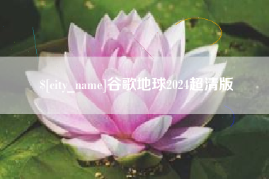 进贤谷歌地球2024超清版