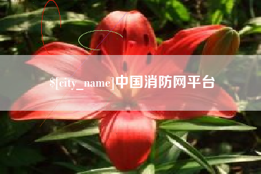 进贤中国消防网平台
