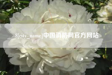 进贤中国消防网官方网站