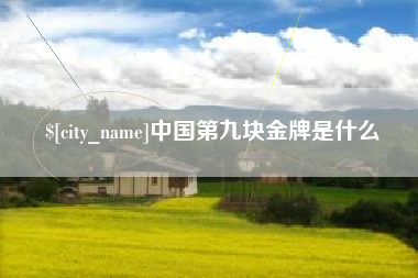 进贤中国第九块金牌是什么
