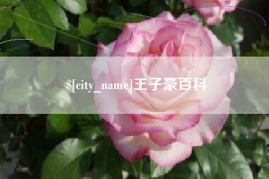 进贤王子豪百科