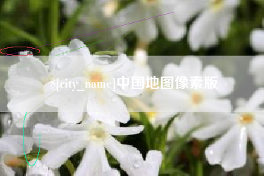 进贤中国地图像素版