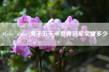 进贤男子五千米世界冠军奖金多少