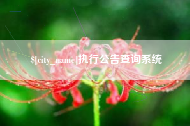 进贤执行公告查询系统
