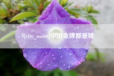 进贤中国金牌都是啥