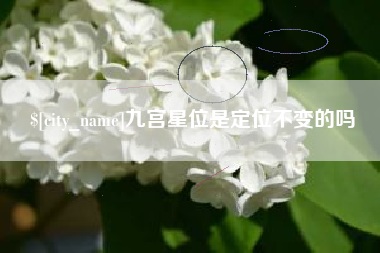 进贤九宫星位是定位不变的吗