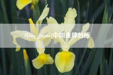 进贤中国金牌包括