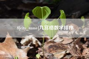 进贤九宫格数字排序