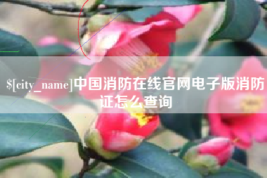 进贤中国消防在线官网电子版消防证怎么查询