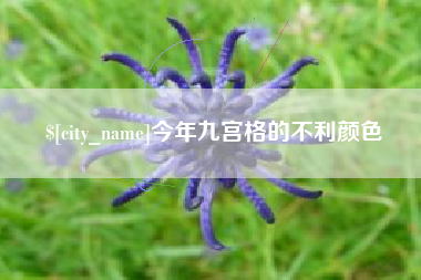 进贤今年九宫格的不利颜色
