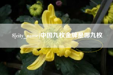 进贤中国九枚金牌是哪九枚