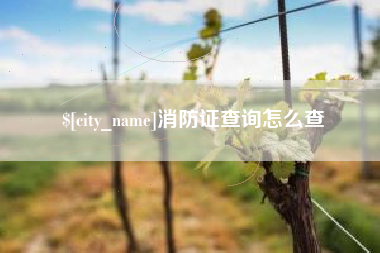 进贤消防证查询怎么查