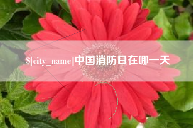 进贤中国消防日在哪一天