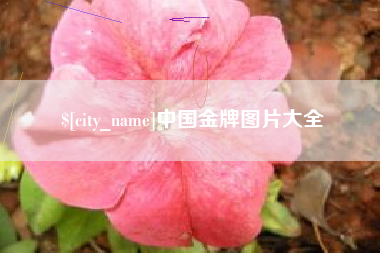 进贤中国金牌图片大全