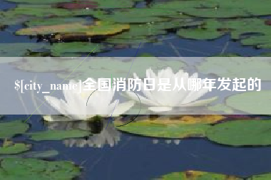 进贤全国消防日是从哪年发起的