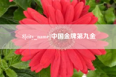 进贤中国金牌第九金