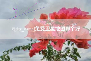 进贤免费卫星地图哪个好