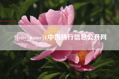 进贤1.中国执行信息公开网