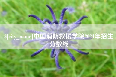 进贤中国消防救援学院2024年招生分数线
