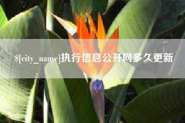 进贤执行信息公开网多久更新