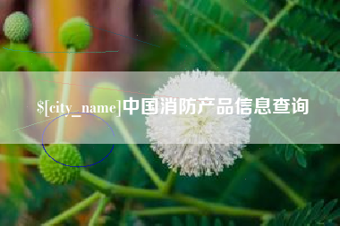 进贤中国消防产品信息查询
