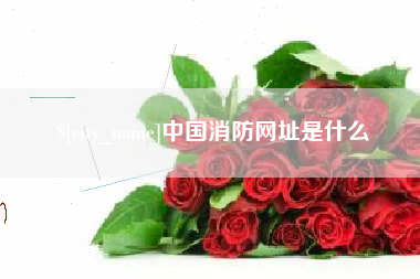 进贤中国消防网址是什么