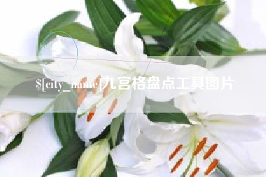 进贤九宫格盘点工具图片