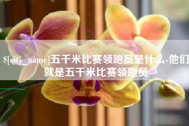 进贤五千米比赛领跑员是什么-他们就是五千米比赛领跑员
