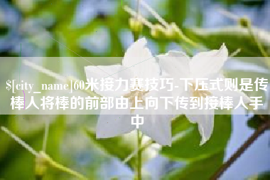 进贤60米接力赛技巧-下压式则是传棒人将棒的前部由上向下传到接棒人手中
