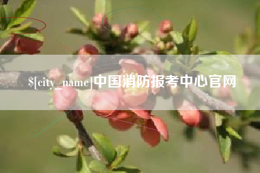 进贤中国消防报考中心官网
