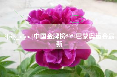 进贤中国金牌榜2024巴黎奥运会最新