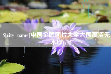 进贤中国金牌图片大全大图高清无水印