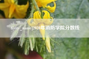 进贤2020年消防学院分数线