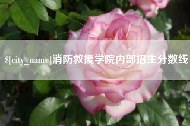 进贤消防救援学院内部招生分数线