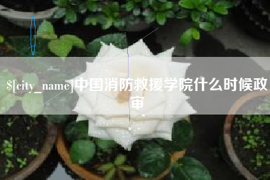 进贤中国消防救援学院什么时候政审